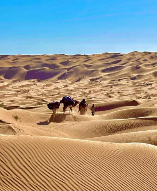 Grand Sud, la maison de sable Douz Extérieur photo