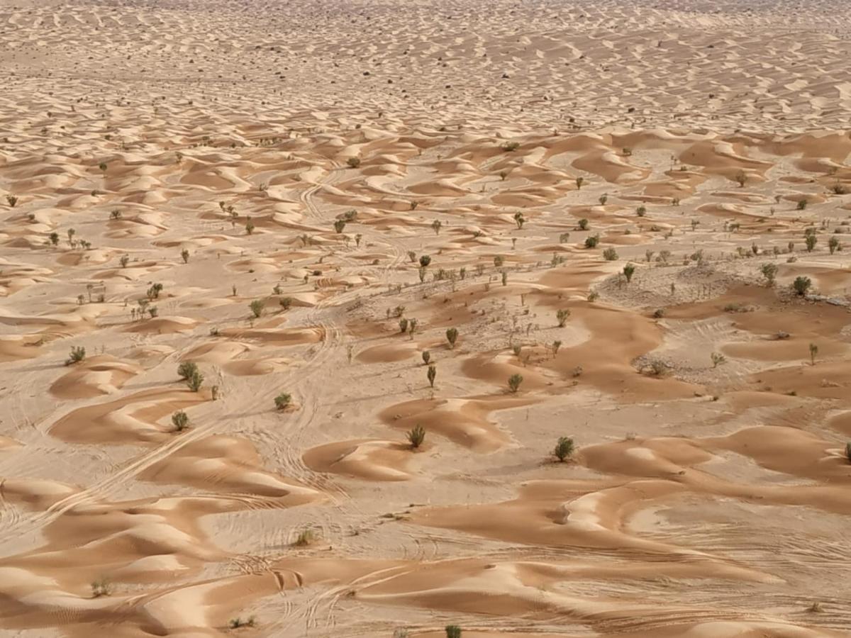 Grand Sud, la maison de sable Douz Extérieur photo