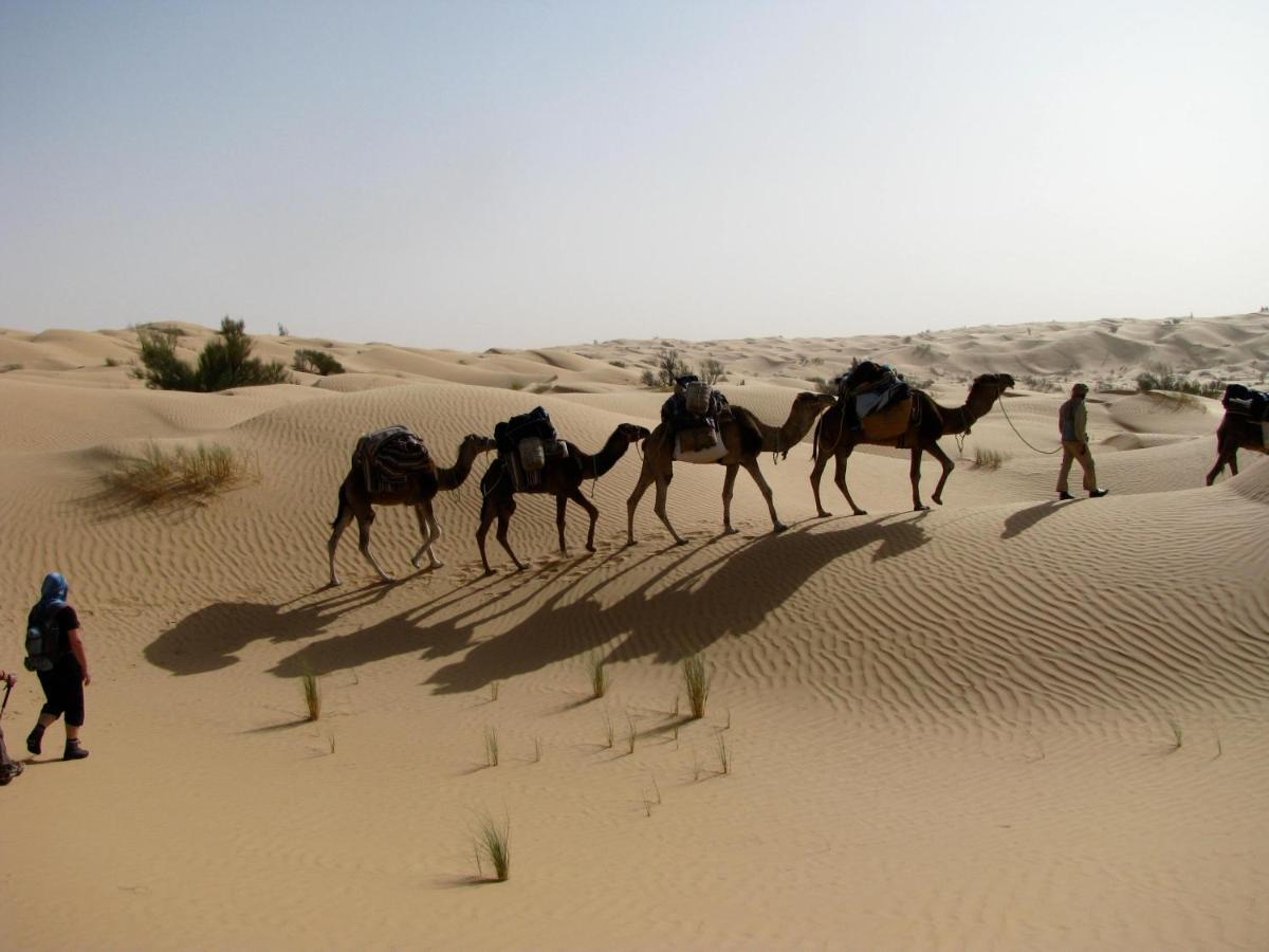 Grand Sud, la maison de sable Douz Extérieur photo