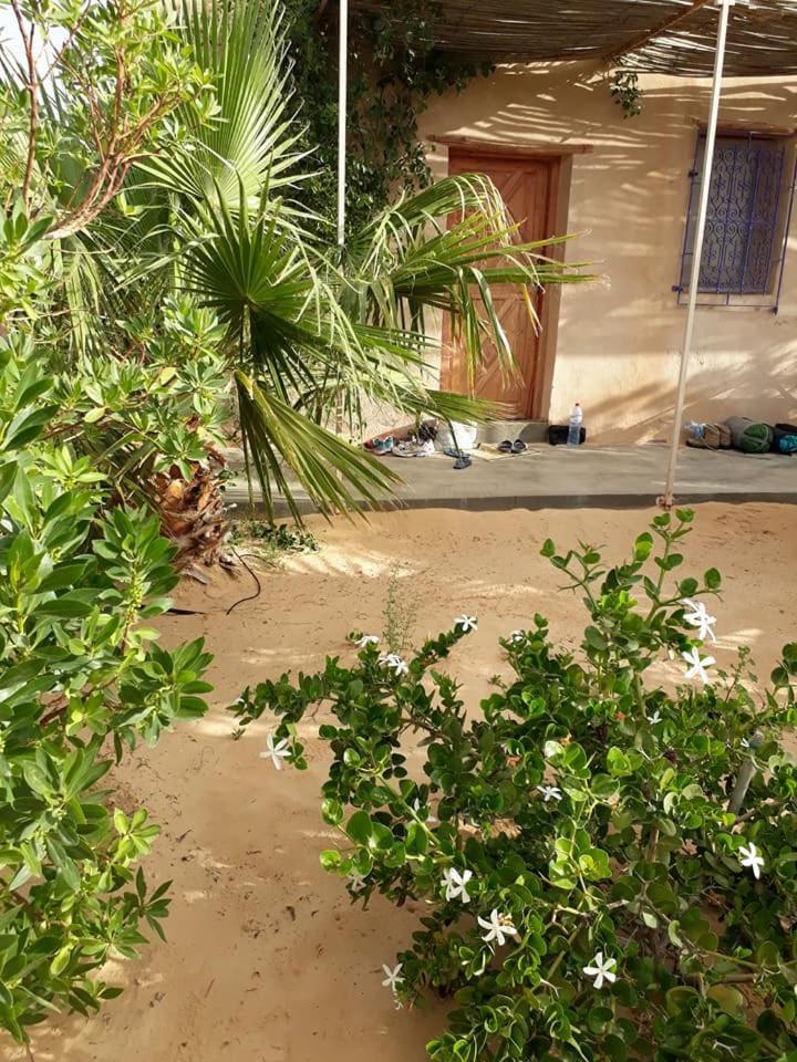 Grand Sud, la maison de sable Douz Extérieur photo